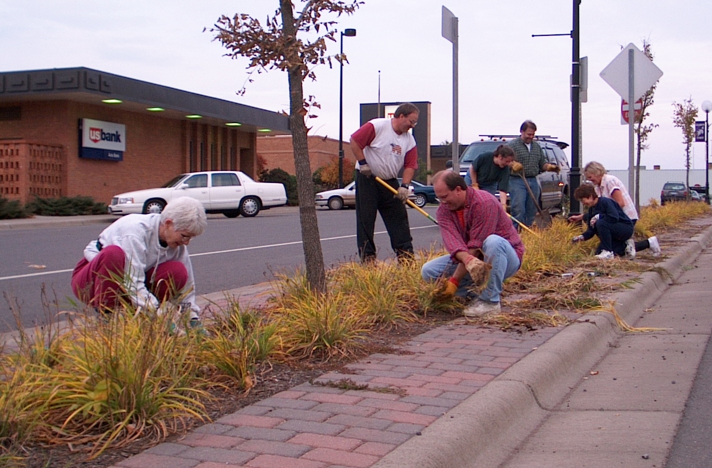 Volunteers gardening